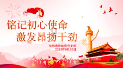 为什么越优秀的女人，越能平衡事业和家庭